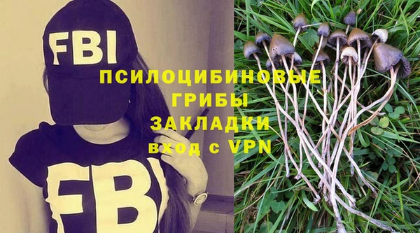 а пвп мука Надым