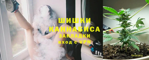 прущие грибы Навашино