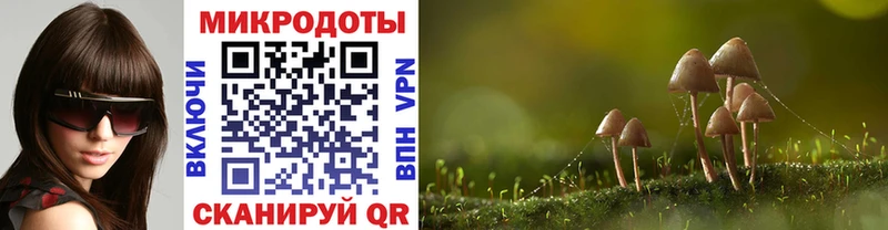 где найти   Муром  Галлюциногенные грибы GOLDEN TEACHER 