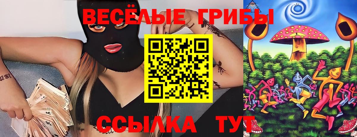 Галлюциногенные грибы GOLDEN TEACHER  Вход с VPN  Муром 